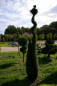 Preview: Thuja occidentalis Smaragd Form Spirale mit Kugel - Smaragd-Lebensbaum -  300-350