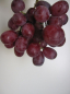 Preview: Vitis vinifera Crimson Seedless - kernlose Weintraube Crimson Seedless