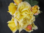 Preview: Beetrose Rosa France Info® Moderne Floribundarose karminrot bis goldgelb Duft++++ 40cm