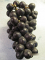 Preview: Weintrauben Venus Seedless