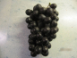 Preview: Weintrauben Venus Seedless