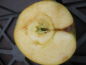 Preview: Malus Seestermüher Zitronenapfel