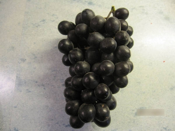 Weintrauben Venus Seedless
